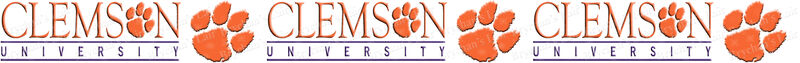 Clemson University Tigers Custom Designed Grosgrain Ribbon Printed by the Yard - product image  