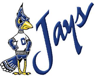 Creighton,University,Blue,Jays,ver.,No2,Custom,Designed,Grosgrain,Ribbon,Printed,by,the,Yard,Creighton University Blue Jays ver. No2 Custom Designed Grosgrain Ribbon, custom printed grosgrain ribbon, custom printed college university grosgrain ribbon, college university grosgrain ribbon by the yard