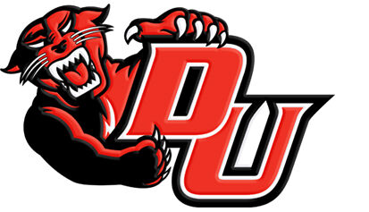 Davenport,University,Panthers,ver.,No4,Custom,Designed,Grosgrain,Ribbon,Printed,by,the,Yard,Davenport University Panthers ver. No4 Custom Designed Grosgrain Ribbon, custom printed grosgrain ribbon, custom printed college university grosgrain ribbon, college university grosgrain ribbon by the yard