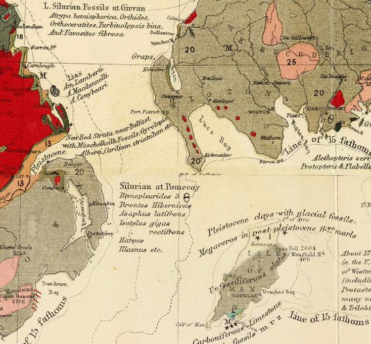 Old Map of United Kingdom Geological - Geological Palaeontological Map United Kingdom 1854 P3 Grande