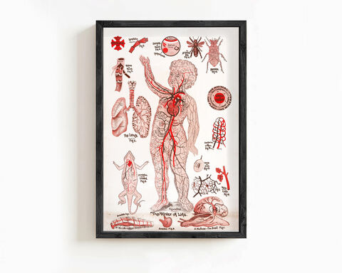 Circulatory,System,Vintage,poster,Chart,The,River,of,Life,,organs,,veins,and,blood,components,|,Clinic,Decor,Wall,Art,vintage circulation poster, circulatory poster, vintage medicine poster, antique medical poster, vintage decor clinic, health clinic poster