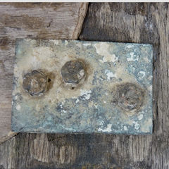 Product images  of 