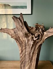 Product images  of 
