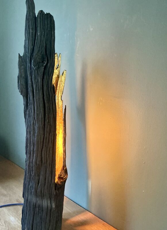 Blackwood floor lamp - product images  of 