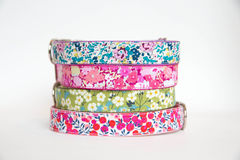 Flower,Dog,Collar,-,Liberty,of,London,Collection,Pets,Floral,dog_collar,floral,liberty_of_london,liberty,flower,pink,green,turquoise,metal_buckle,nickel,buckle,silver,floral_dog_collar,Liberty of London Tana Lawn,Webbing