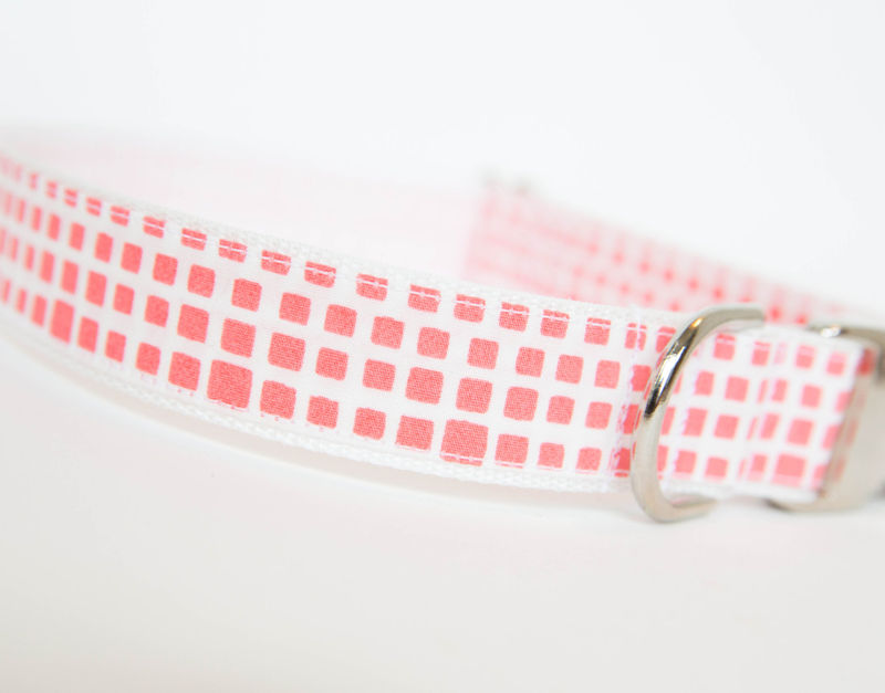 Dog Collar - Happy Racquet Collection - product images  of 