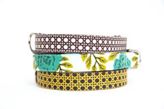 Dog,Collar,-,Front,Porch,Collection,Pets,Large_Dog,dog_collar,floral,southern,blue,turquoise,flower,brown,gold,caning,caned,Cotton Fabric,Webbing