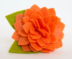 Product images  of 