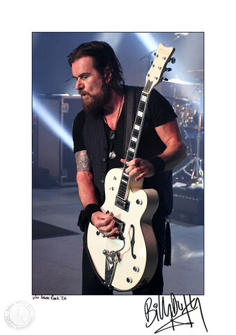 White,Falcon,Limited,Edition,A3,Signed,Colour,Photo