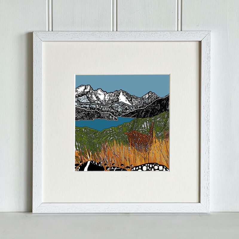 WREN IN THE GRASS  -  Fine Art giclee print - product images  of 