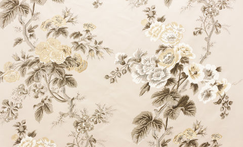 Pyne,Hollyhock,Grisaille