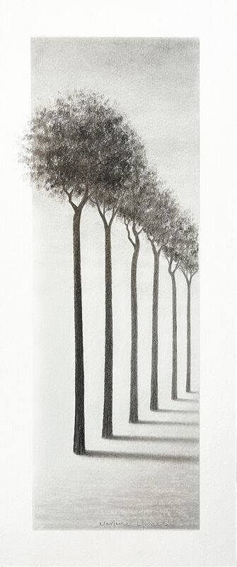 Trees of Wisdom (original pencil drawing 12x4 in) - product images  of 