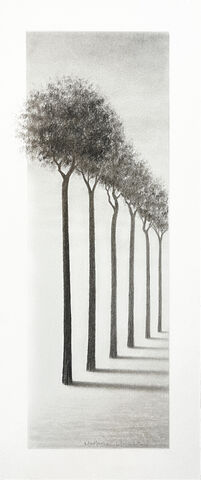 Trees,of,Wisdom,(original,pencil,drawing,12x4,in),tree, original pencil drawing, nature, illustration, contemporary decor, small art, affordable art, plant, minimalist, path, surreal, surrealist, weird, light and shadows, peaceful, meaningful, message, meaning, dream, dreamlike, intriguing, inspiring, th
