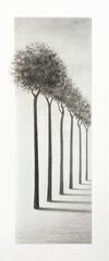 Product images  of 