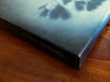 product images  of 