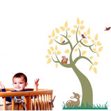 product images  of 