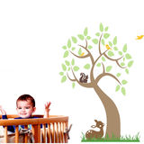 product images  of 