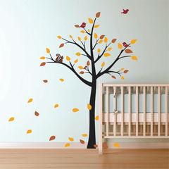 Product images  of 