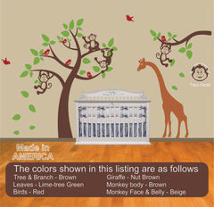 Product images  of 