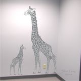 product images  of 