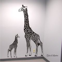 Product images  of 
