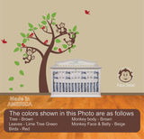 product images  of 