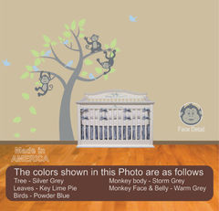 Product images  of 