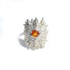 Product images  of 