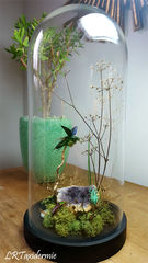 Product images  of 