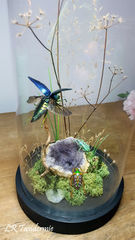 Product images  of 