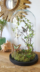 Product images  of 