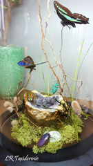 Product images  of 