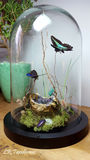 product images  of 