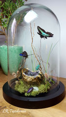 Product images  of 