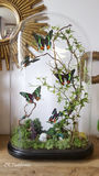 product images  of 