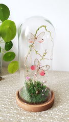 Product images  of 