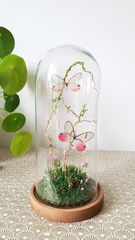 Product images  of 