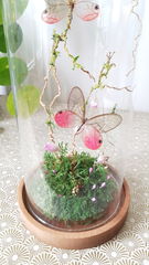 Product images  of 
