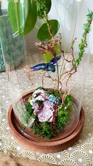 Product images  of 