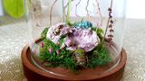 product images  of 