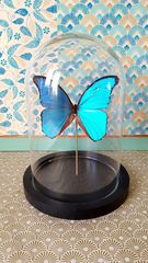 Product images  of 