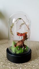 Product images  of 