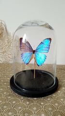 Product images  of 