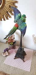 Product images  of 