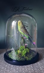 Product images  of 