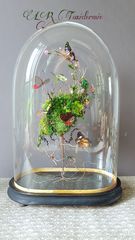 Product images  of 