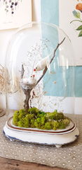 Product images  of 