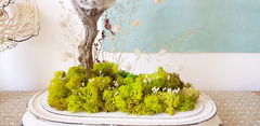 Product images  of 