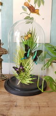 Product images  of 