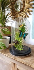 Product images  of 
